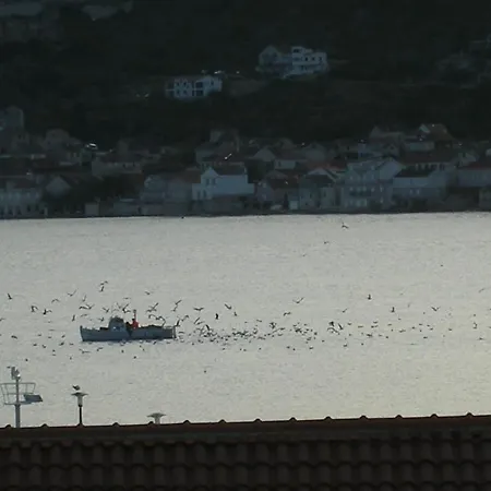 Vis Simunovic Vis